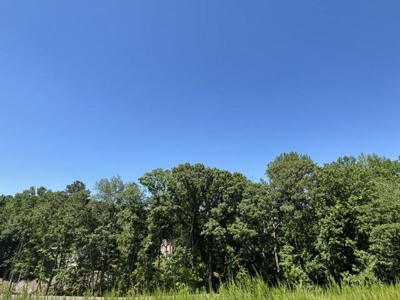 Natural landscape and outdoor views near  in Suwanee (Image 32).