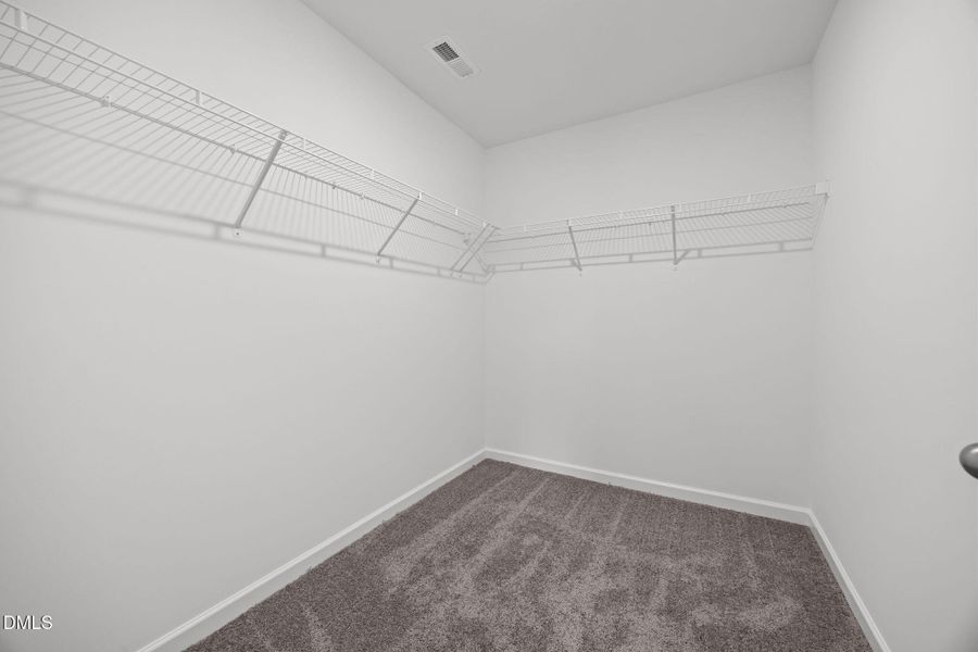 38-web-or-mls-6S8A5276