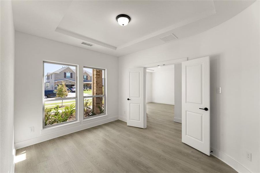 04. 968 Gold Finch - Study 04. 968 Gold Finch - Study