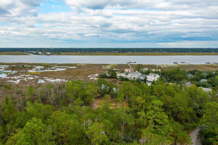 Natural landscape and outdoor views near  in Johns Island (Image 12).