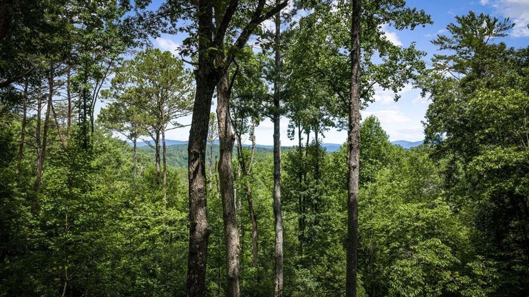 Natural landscape and outdoor views near  in Ellijay (Image 50).