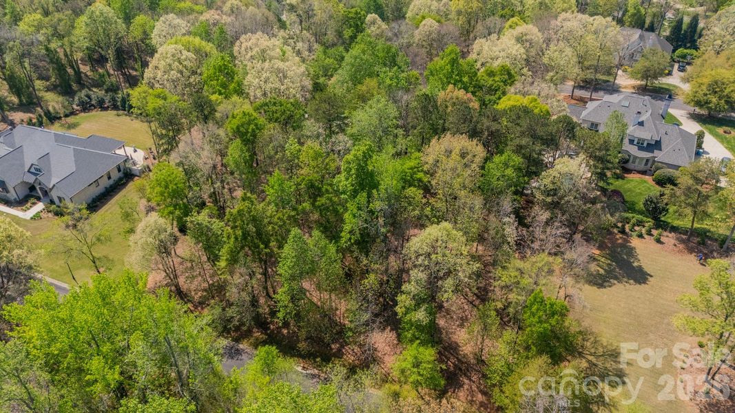 Natural landscape and outdoor views near  in Belmont (Image 10).