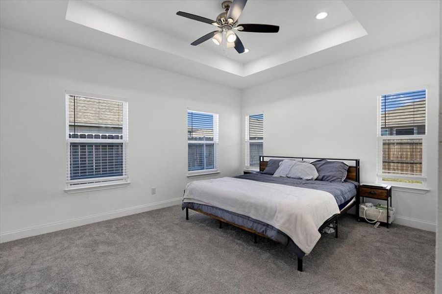 Carpeted bedroom featuring a raised ceiling and a ceiling fan Carpeted bedroom featuring a raised ceiling and a ceiling fan