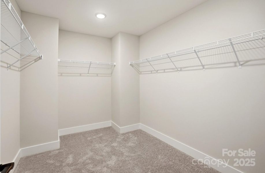 Spacious, unfurnished interior of a new home in Carrington, Stanley (Image 22).