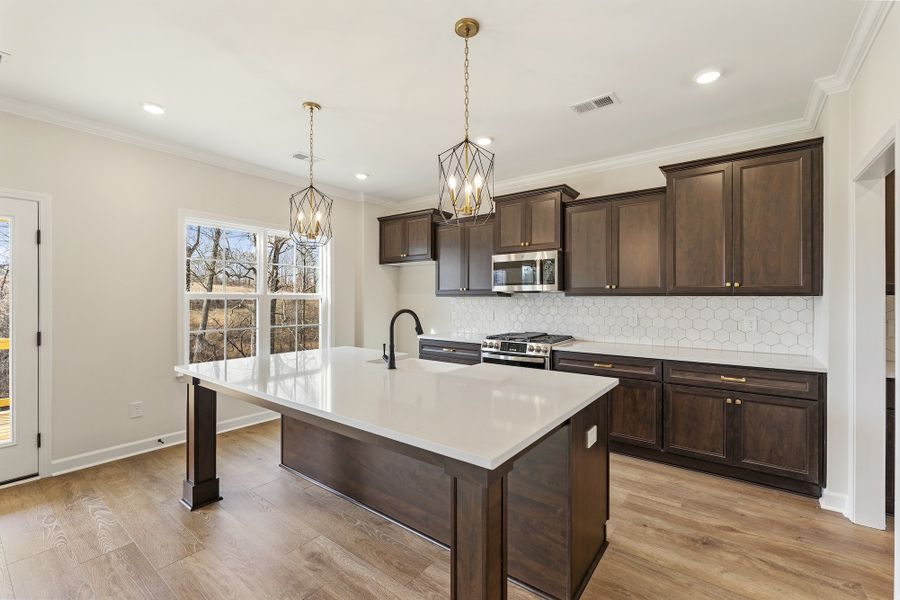 Furnished interior view inside a new home in Parris Meadows, Chesnee (Image 9).