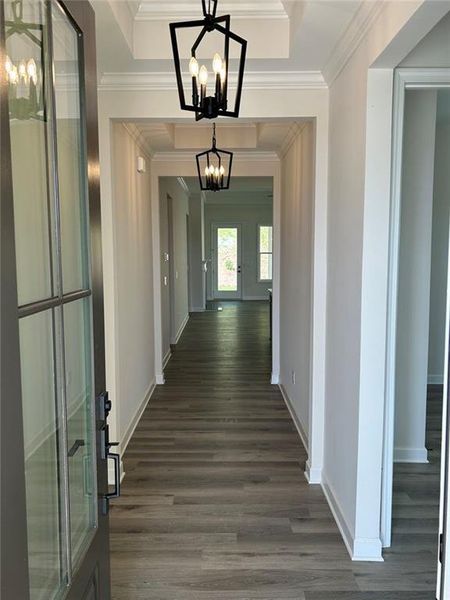 Spacious, unfurnished interior of a new home in , Gainesville (Image 15).