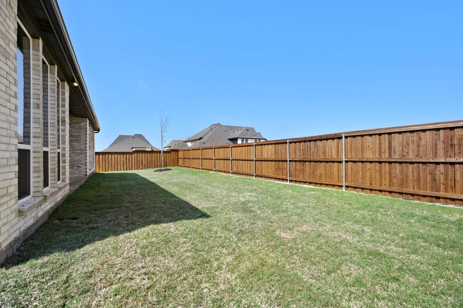 4121 Trellis - Backyard 4121 Trellis - Backyard
