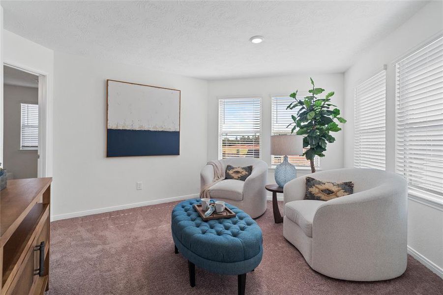 This sitting room joined with the primary bedroom is perfect for sitting with a book, an office, workout room, or even a nursery. The possibilities are endless and makes the primary suite an oasis of privacy.