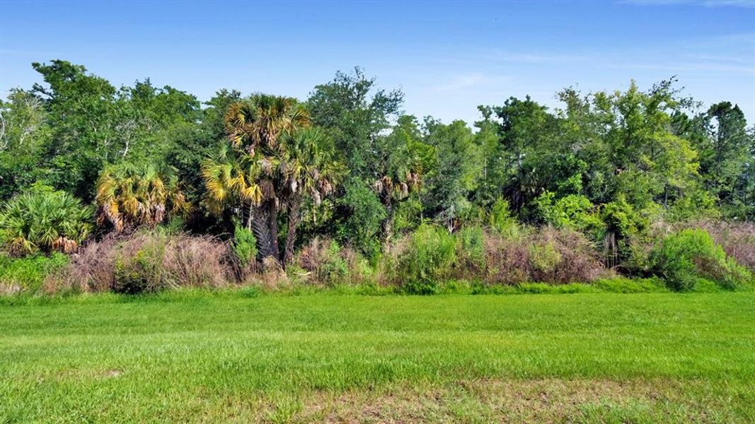 Natural landscape and outdoor views near  in Kissimmee (Image 28).