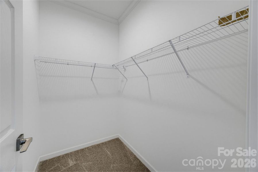 Spacious, unfurnished interior of a new home in , Newton (Image 26).