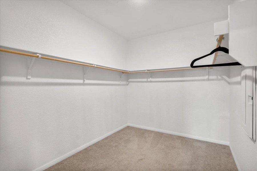 Walk-in closet featuring light-colored carpeting, white baseboards, and a wrap-around hanging rod system with shelving