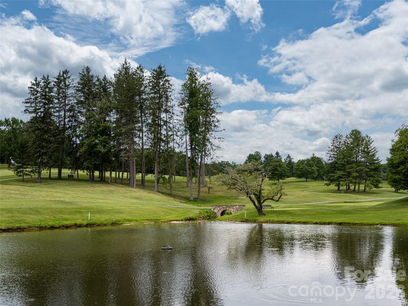 Natural landscape and outdoor views near  in Asheville (Image 23).