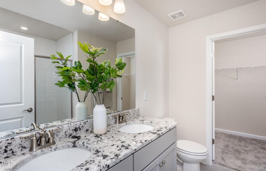 MMOrioleLR014 MMOrioleLR014