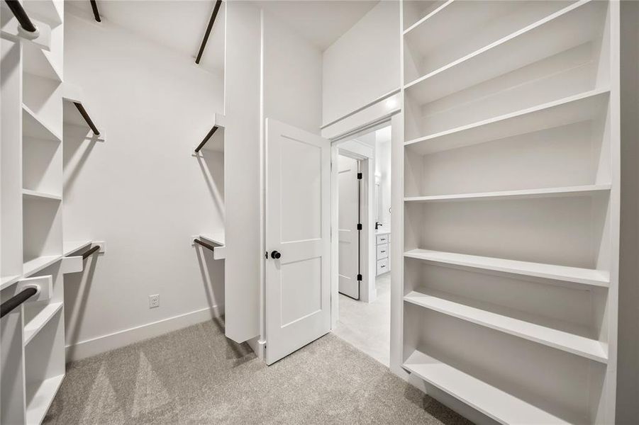 Spacious walk-in closet featuring built-in shelving, hanging rods, and light gray carpet flooring
