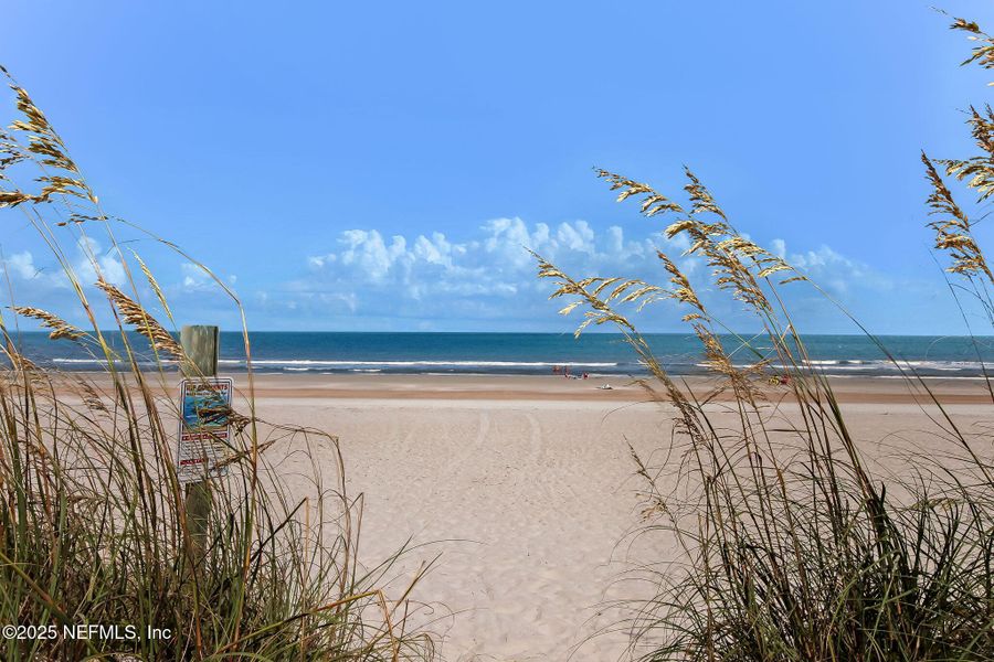 Natural landscape and outdoor views near in Fernandina Beach (Image 18). Natural landscape and outdoor views near in Fernandina Beach (Image 18).