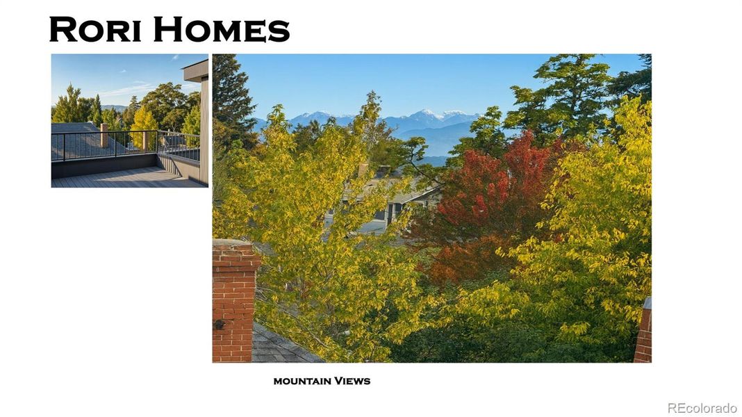 Roof Deck views Roof Deck views