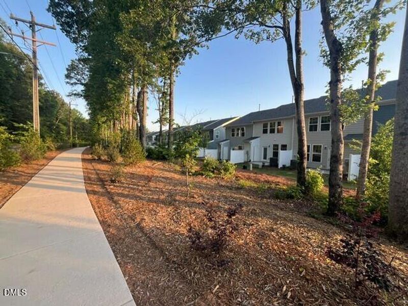 walking trail walking trail