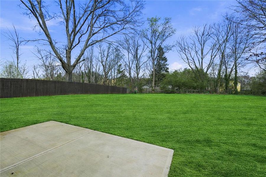 Natural landscape and outdoor views near  in Alpharetta (Image 22).