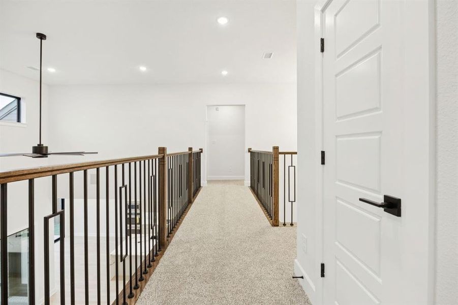 30-9343Spindletree_030 30-9343Spindletree_030