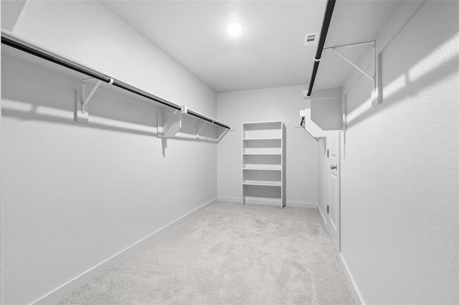 Spacious closet featuring light colored carpet Spacious closet featuring light colored carpet