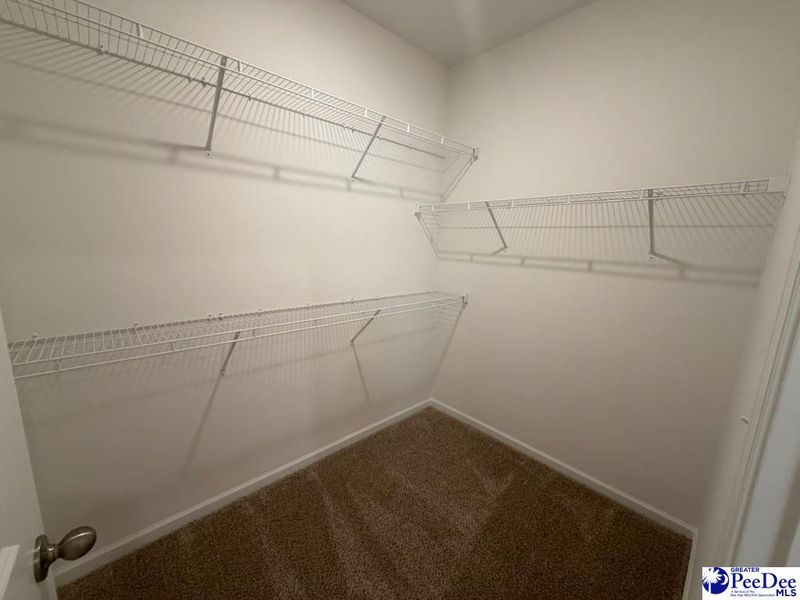 Spacious, unfurnished interior of a new home in The Grove, Florence (Image 13).