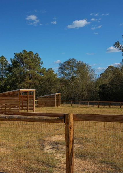 Image 18 of a home in . Image 18 of a home in .