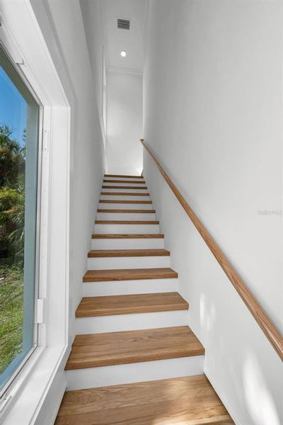 Spacious, unfurnished interior of a new home in , Tarpon Springs (Image 47). Spacious, unfurnished interior of a new home in , Tarpon Springs (Image 47).