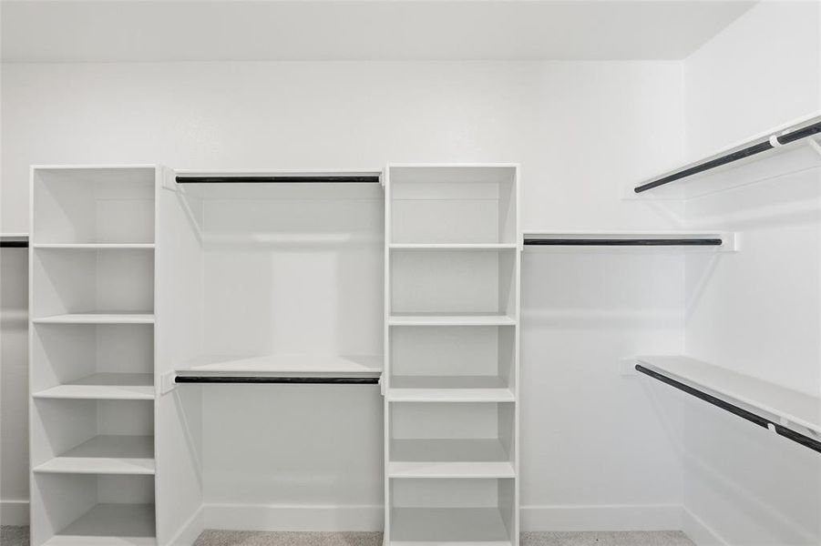 Spacious closet featuring light carpet