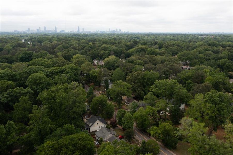Natural landscape and outdoor views near  in Atlanta (Image 41).