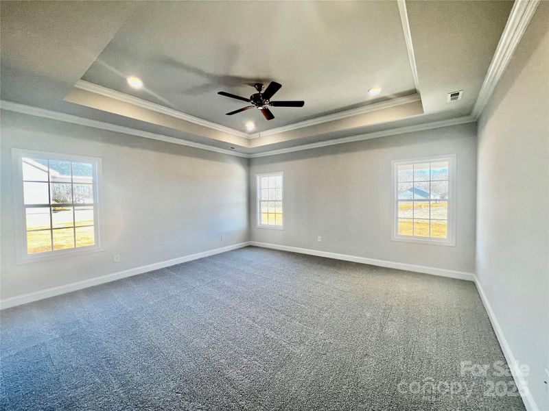 Primary bedroom with tray ceilings