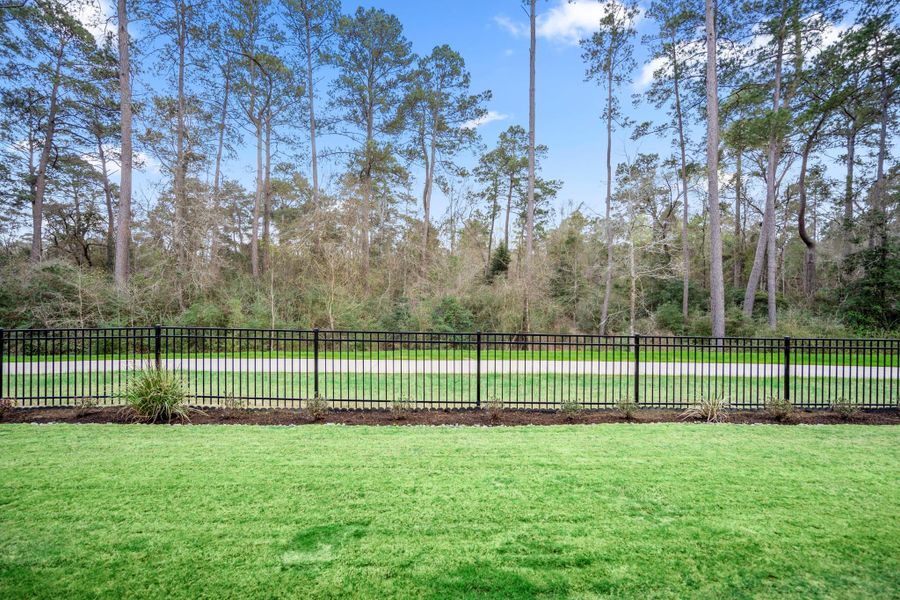 Peaceful views from the back patio.