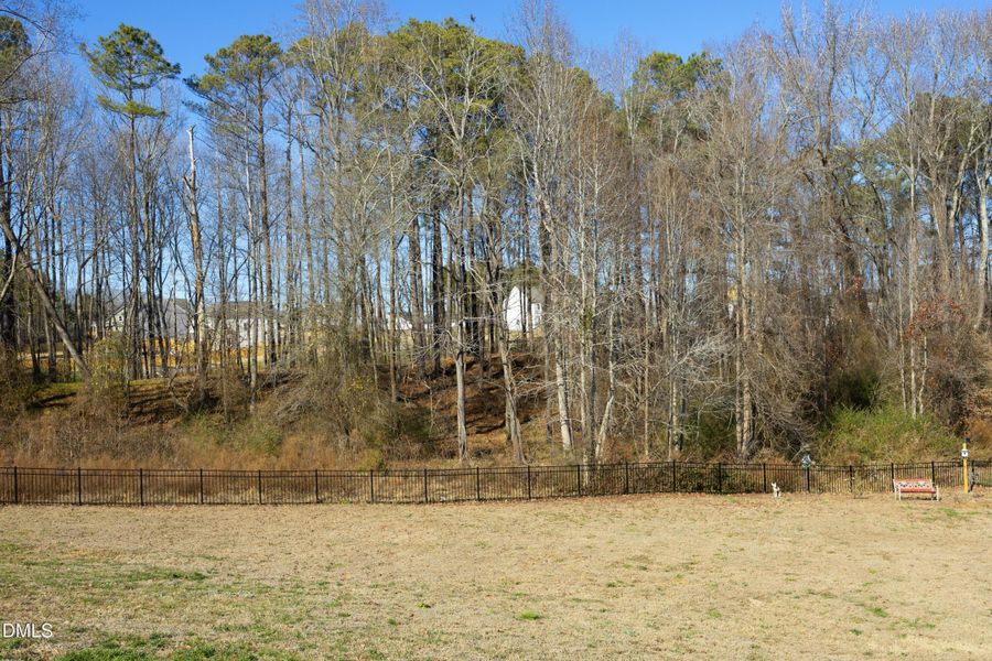 45BackYard 45BackYard