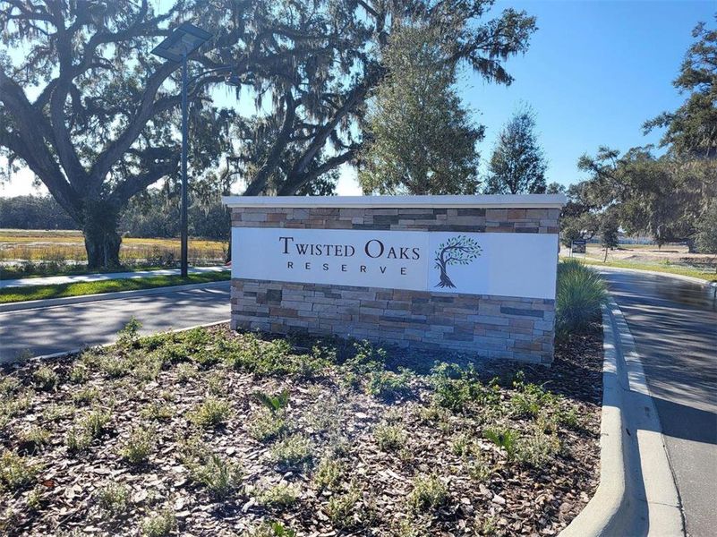 Front exterior of a new home in Twisted Oaks, Wildwood, FL, highlighting curb appeal (Image 2).