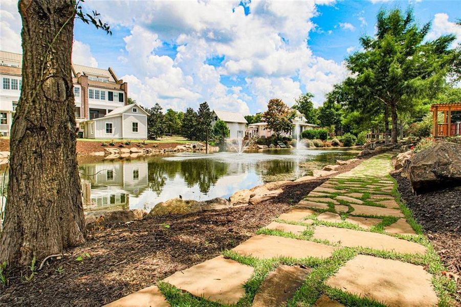 Natural landscape and outdoor views near in Senoia (Image 13). Natural landscape and outdoor views near in Senoia (Image 13).