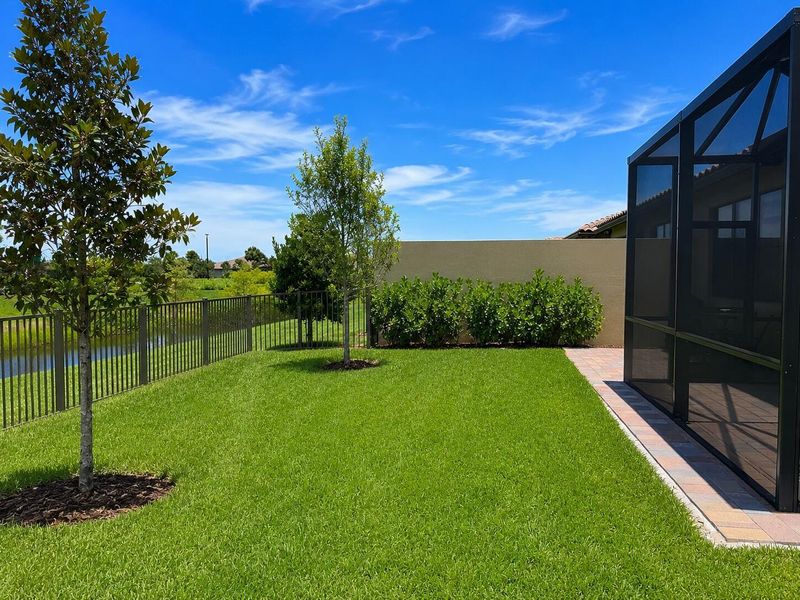 3-back_yard_3