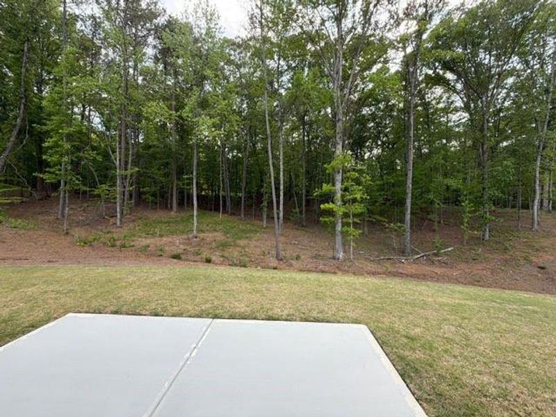 Natural landscape and outdoor views near Tuscany Hills in Douglasville (Image 29).