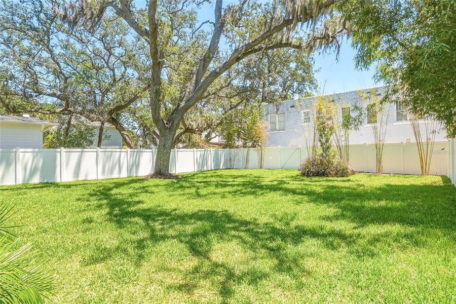 Exterior details and patio area of a home in , Tampa (Image 29).