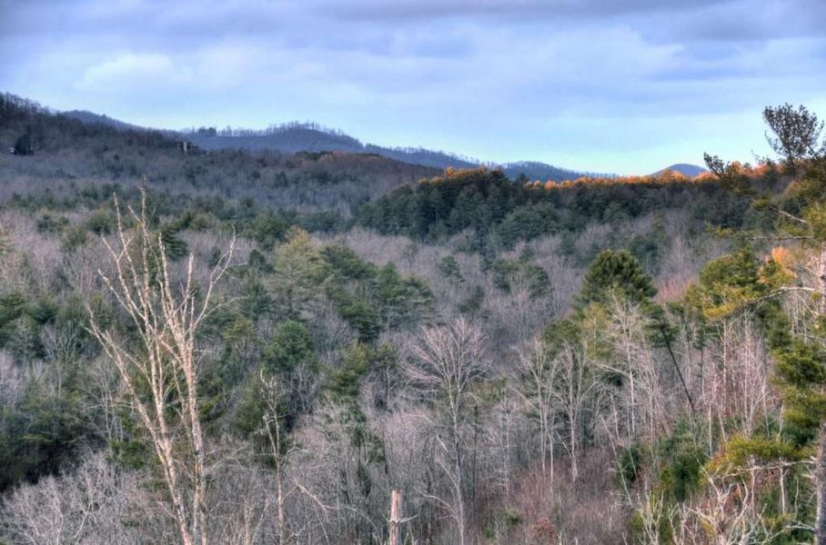 Natural landscape and outdoor views near  in Mineral Bluff (Image 80).