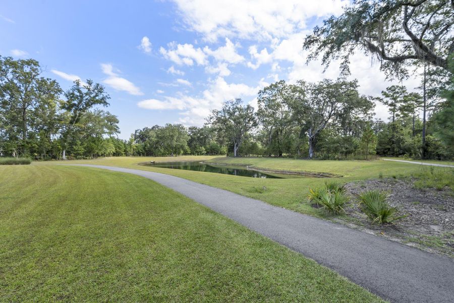 Natural landscape and outdoor views near  in Johns Island (Image 21).