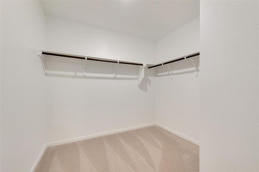 Walk in closet featuring carpet