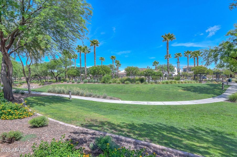 Community areas Community areas