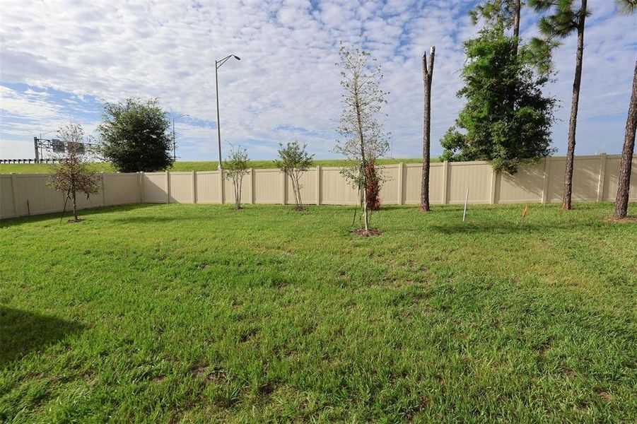 Natural landscape and outdoor views near Emerson Pointe in Apopka (Image 46). Natural landscape and outdoor views near Emerson Pointe in Apopka (Image 46).
