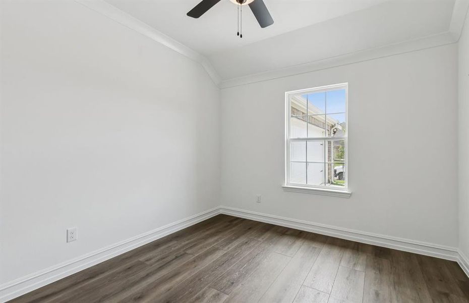 Elegant study *Model representation Elegant study *Model representation