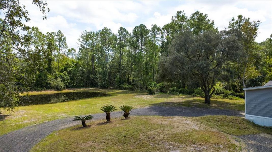 Natural landscape and outdoor views near in Bunnell (Image 23). Natural landscape and outdoor views near in Bunnell (Image 23).
