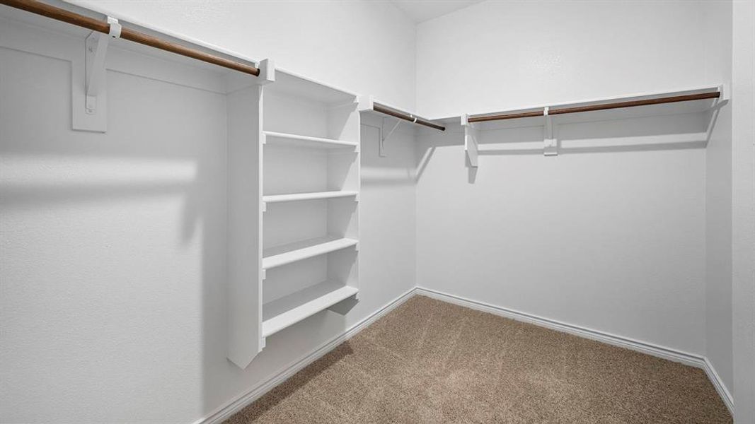 Spacious closet featuring light colored carpet