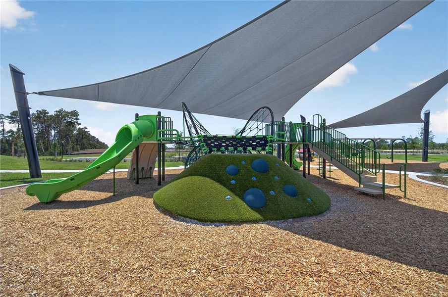 Community amenities in Caldera, Spring Hill (Image 75).