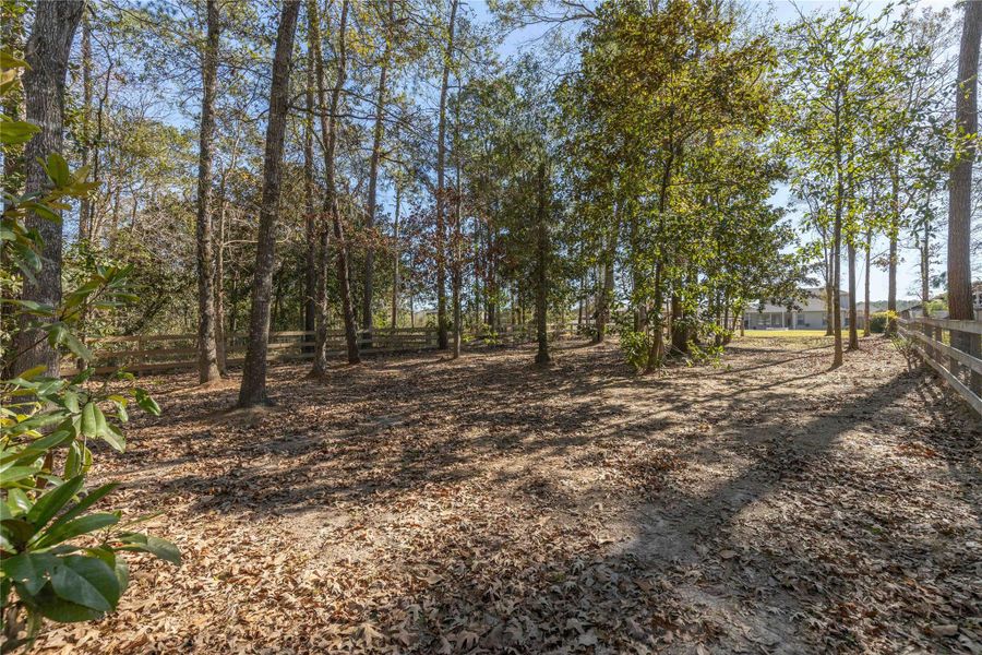 Natural landscape and outdoor views near in Anahuac (Image 42). Natural landscape and outdoor views near in Anahuac (Image 42).