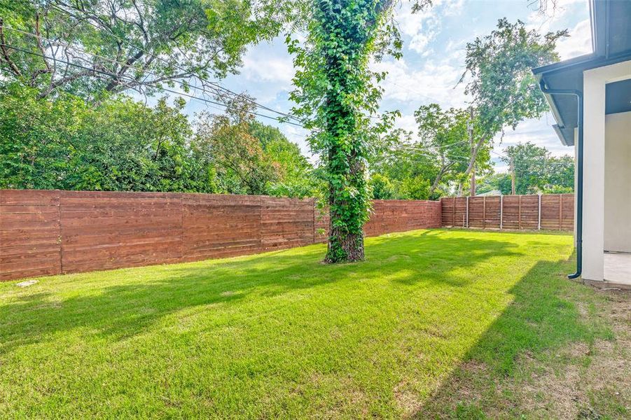 Expansive green lawn framed by a privacy fence and mature trees
