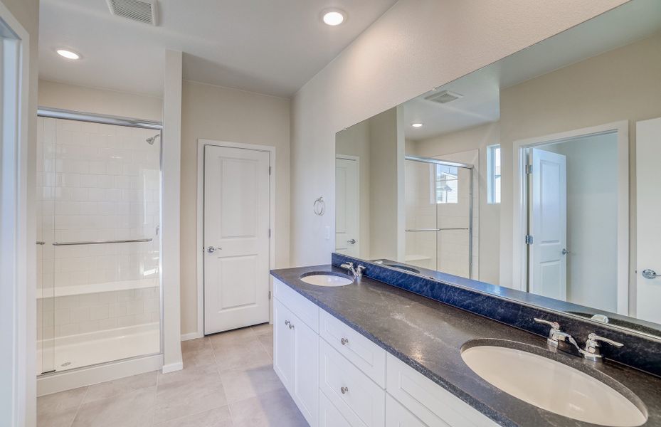 Tranquil Owner's Bath