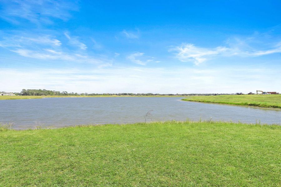 Natural landscape and outdoor views near Riceland: 42ft. lots in Mont Belvieu (Image 38).